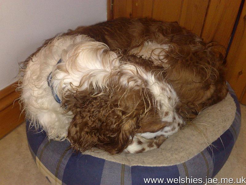 2010-09-06 02.jpg - I thought you're meant to fit inside a donut...